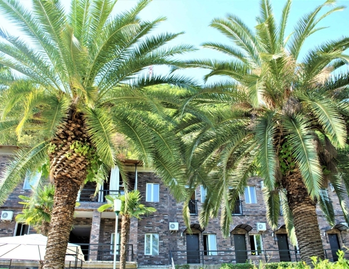 Пансионат SkyTerra / Скай Терра Новый Афон